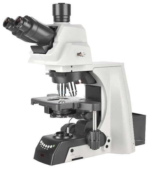 NE930科研級電動生物(wù)顯微鏡